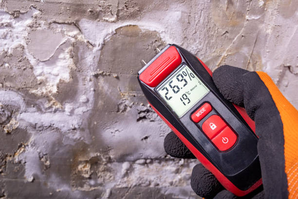 Trusted Gold Bar, WA Mold Remediation Experts