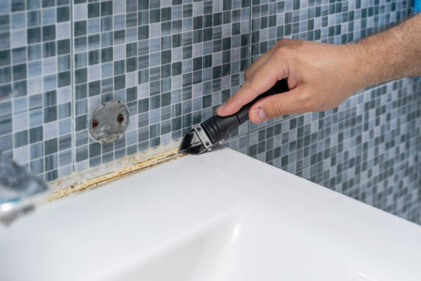 Best Insurance-Related Mold Remediation in Gold Bar, WA